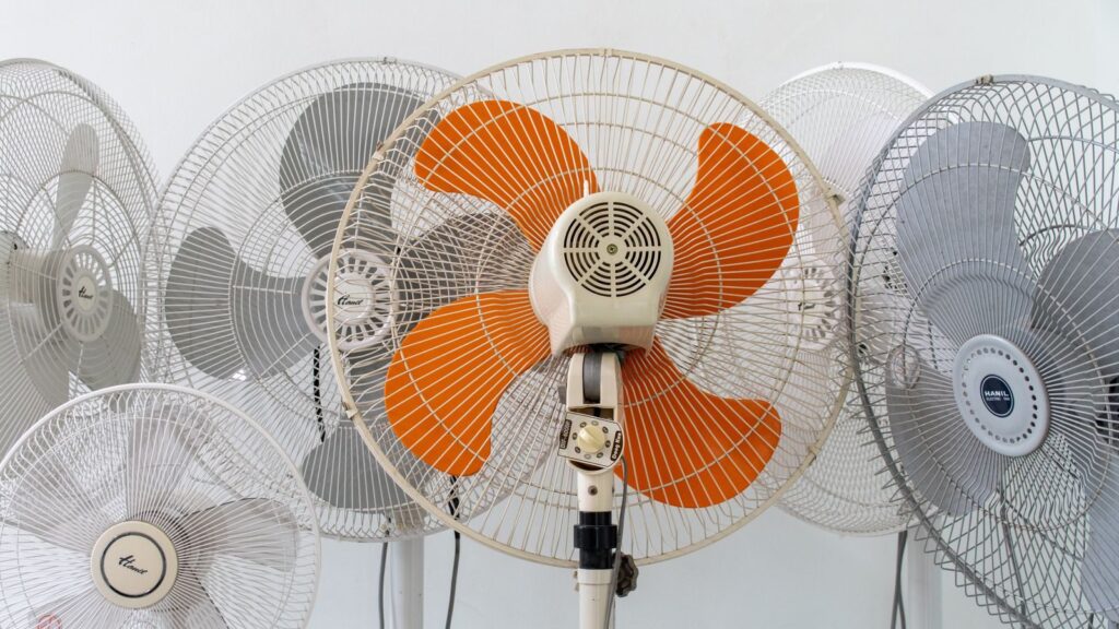 A group of vintage electric fans with colorful blades displayed indoors, showcasing retro style.