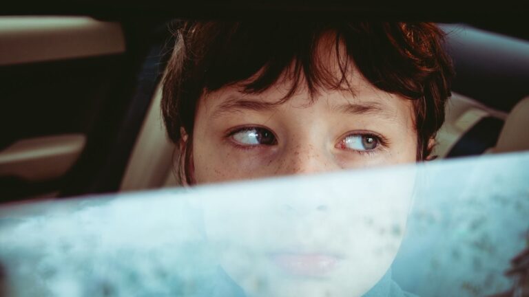 A young boy with blue eyes and brown hair peers thoughtfully through a car window.