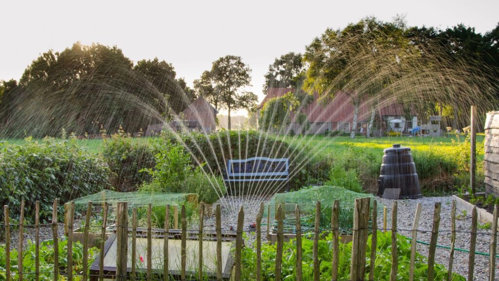 A peaceful garden scene with crops being irrigated by a sprinkler system during daylight.