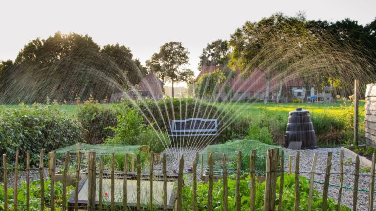 A peaceful garden scene with crops being irrigated by a sprinkler system during daylight.