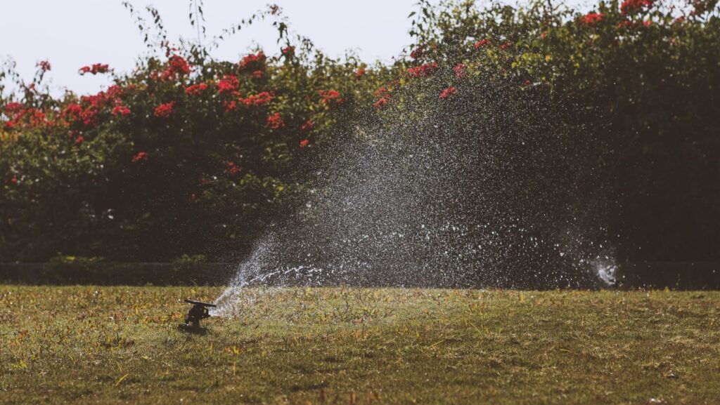 Water sprinkler irrigating a green garden with vibrant flowers under a summer sky.