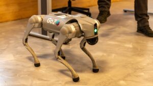 Vědci chystají na Mars vypustit robotické psy