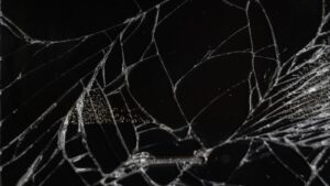 Kolik stojí oprava displeje nového iPhonu Ultra? Z částky zůstanete jak opaření a zvážíte, zda ho vůbec koupit