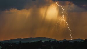 V Lidlu se strhla mela. To, co jinde stojí stovky a tisíce, mají teď za 79 Kč. Potřebuje to každá domácnost