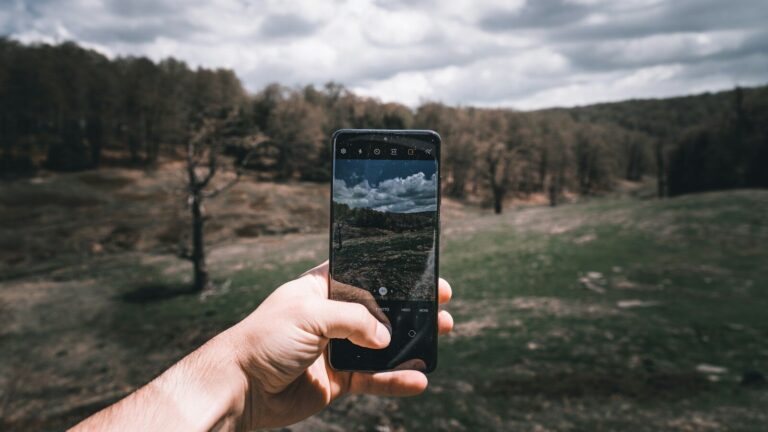 a person taking a picture of a field with a cell phone