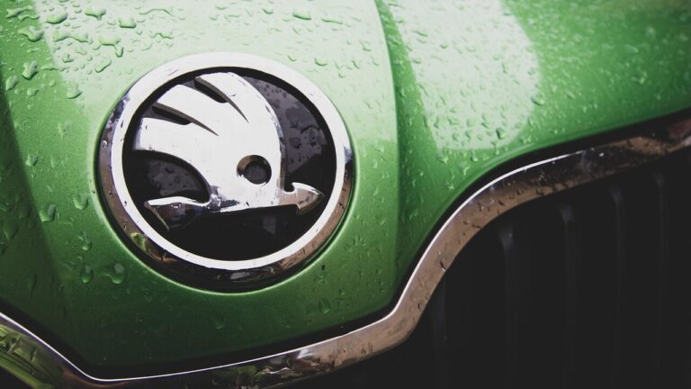 car, skoda, auto, vehicle, automotive, racing, motor, automobile, car wallpapers, green car, pkw, drive